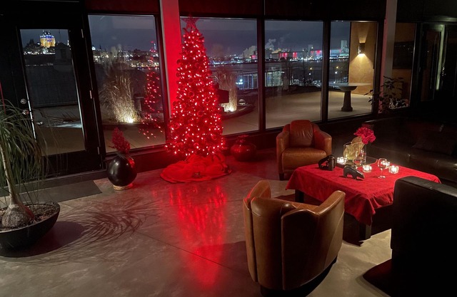 The St-Louis Penthouse