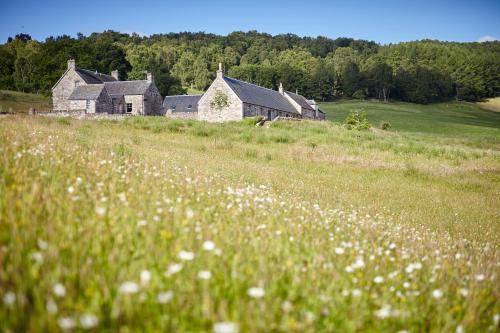 The Steading