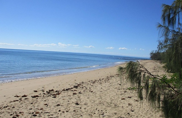 The Sun and Sea Modern split level, pet-friendly family holiday home on the Esplanade