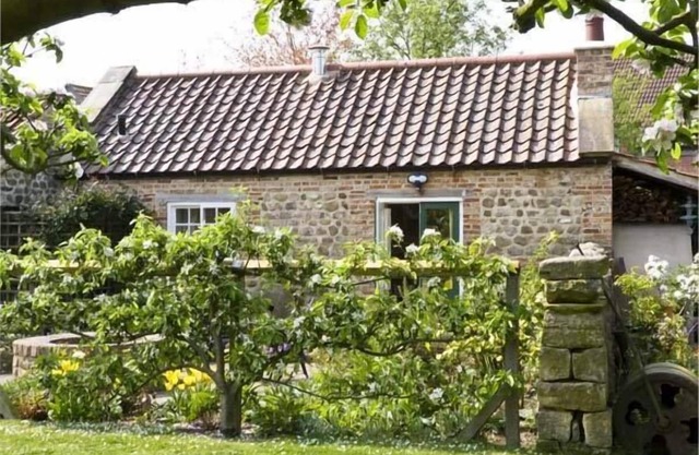 La casa del sol, FERRENSBY