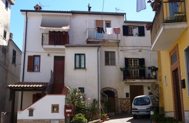 The swallow at the nest apartment in the historic center