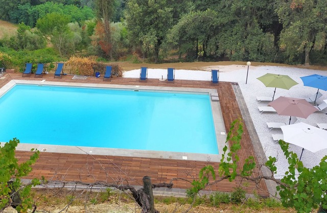 The sycamore is located within the grounds of the historic Villa Meleto