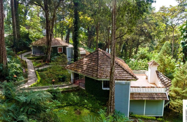 The Tall Trees Munnar