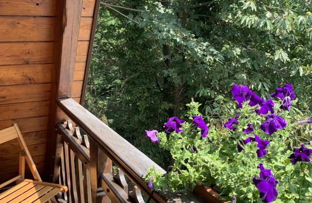 The Taragn detached chalet