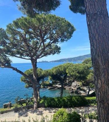The terrace on Portofino Appartamento Terrazzo Portofino