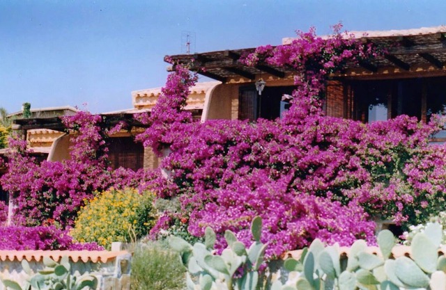 Cottage relajarse junto al mar, terraza con vistas al mar y Caprera en zona verde y tranquila