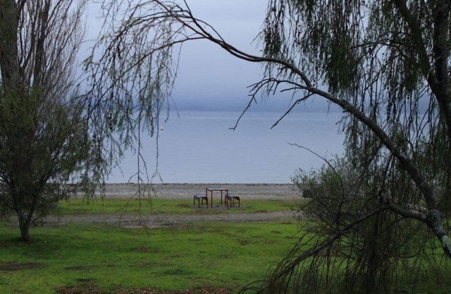 The Toy Bach - Frente al lago absoluto