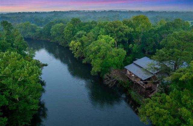 The Tree House Retreat