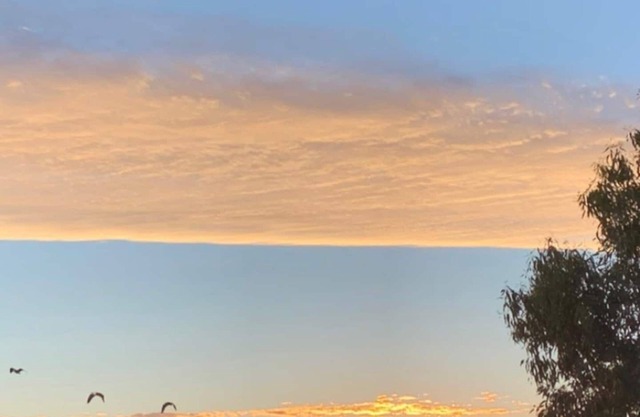 The Tree House Warrnambool