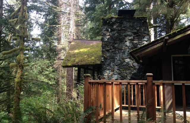 The Treehouse; cabin in the woods, close to town!