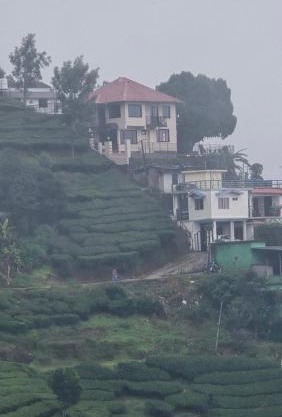 THE Unplugged Escape villa ,Munnar