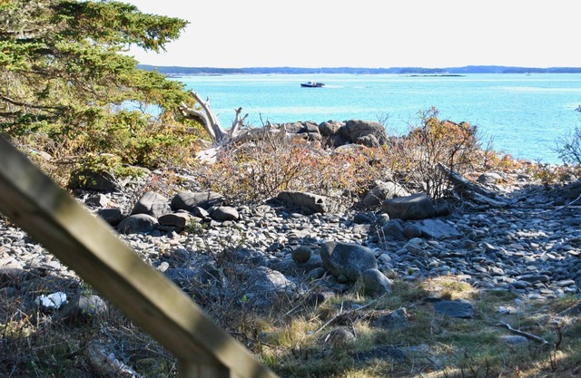 ¡EL MEJOR RETIRO DE GLAMPING FRENTE AL MAR EN DOWNEAST MAINE!⚓ 🌊 🐕
