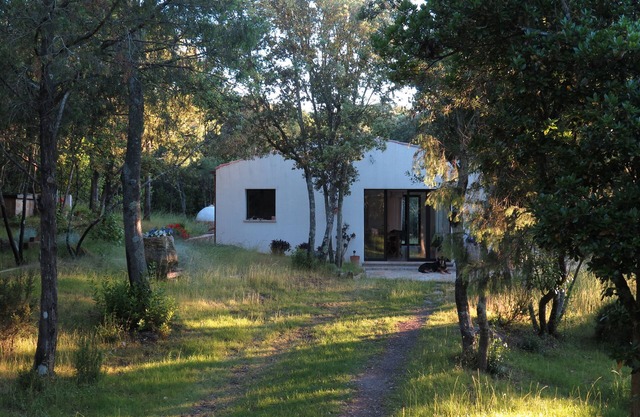 Las villas en el bosque