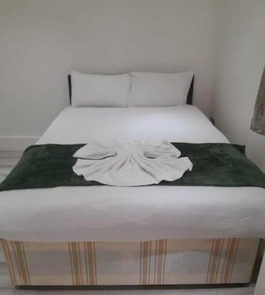 The w3 flat