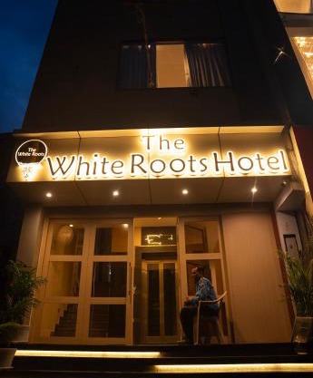 The White Roots Hotel