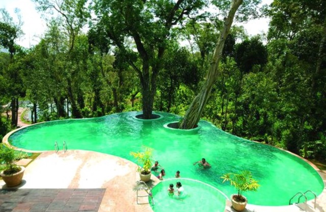 The Windflower Resorts & Spa