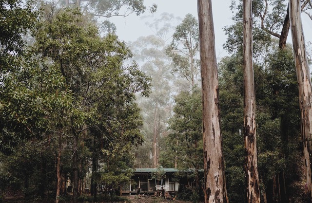 The woodkeeper's Cabin, Quinninup, Karri Forest Getaway in Western Australia