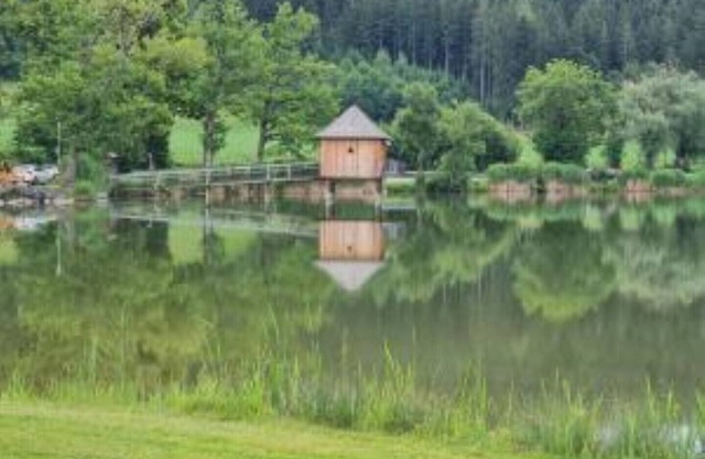The1st Guesthouse "Apartment Lakehouse Style" with terrace and lake view