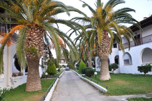 Theo apartment in the palm trees