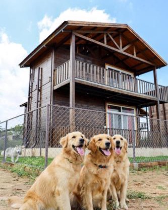 Therpup Resort