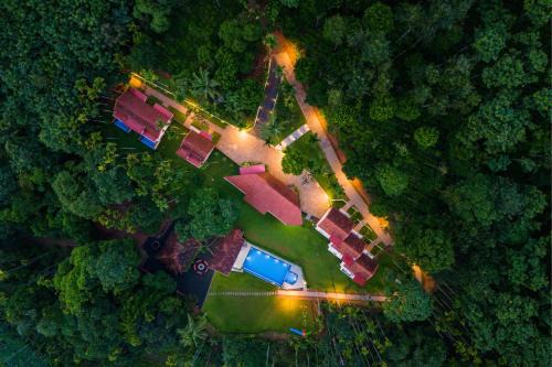 Theyila Wayanad Premium Pool Resort