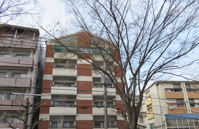 Este apartotel se enfrenta a Kitayama Dori en Kioto.Tome el autobús urbano [Kita 1] desde la estación de Kitaoji en la línea de metro Karasuma y bájese en la parada de autobús [Jotokuji-mae].