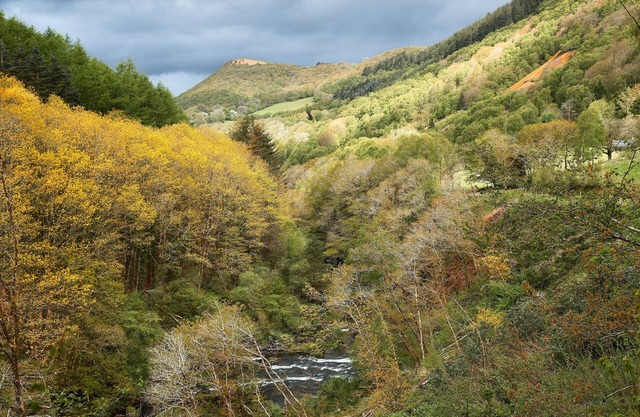 This charming and secluded cottage is the perfect retreat to enjoy nature