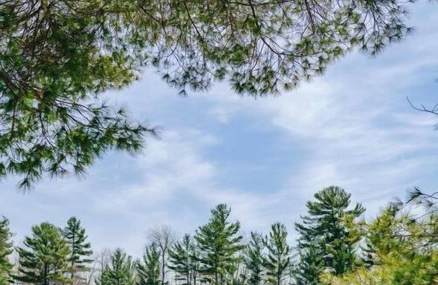 This cottage is a 2 bedroom(s), 1 bathrooms, located in Parry Sound , on.