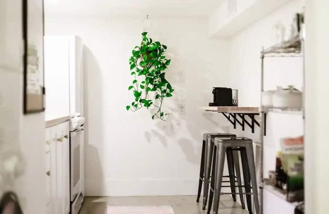 This house is a 1 bedroom(s), 1 bathrooms, located in Kelowna, BC.