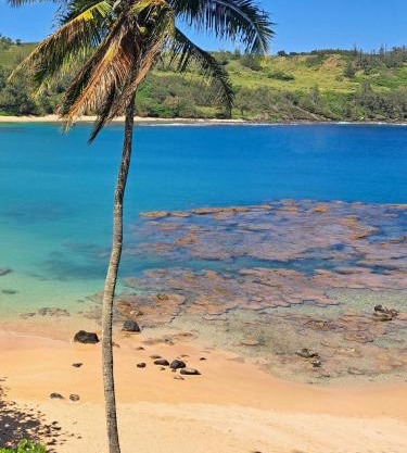 This is it! Dreamy Beach, Stunning Views, Awesome Location