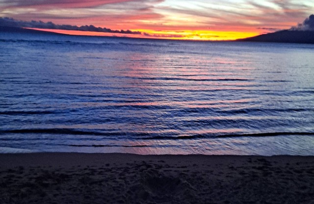 ¡NUEVO! LOW $$$ PARA DREAMY BEACH FRENTE CON IMPRESIONANTES VISTAS, TRANQUILIDAD, SECLUSIÓN