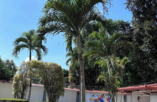 Thompson House , Costa Rica , Orotina la ciudad que queda cerca de todo