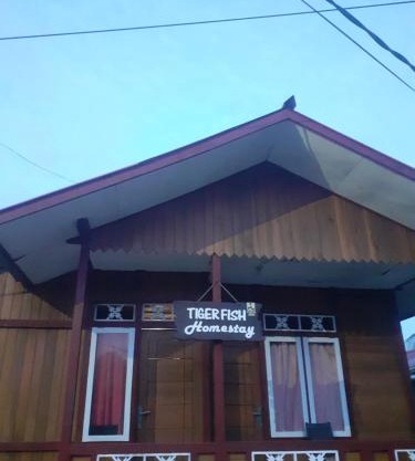 Tiger fish homestay
