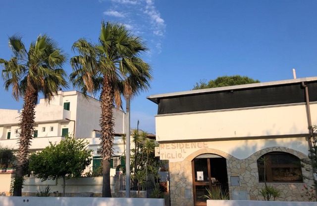 Tiglio Vieste