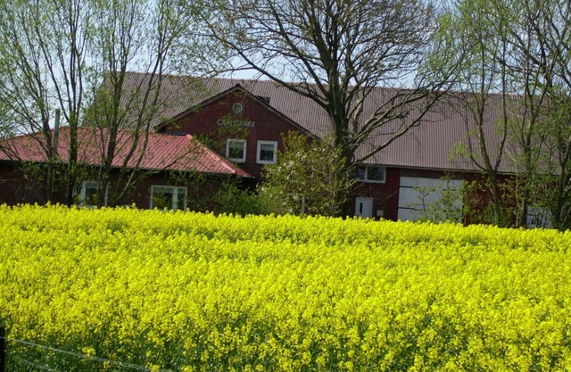 Tiempo fuera de la vida cotidiana en Nordfriesland