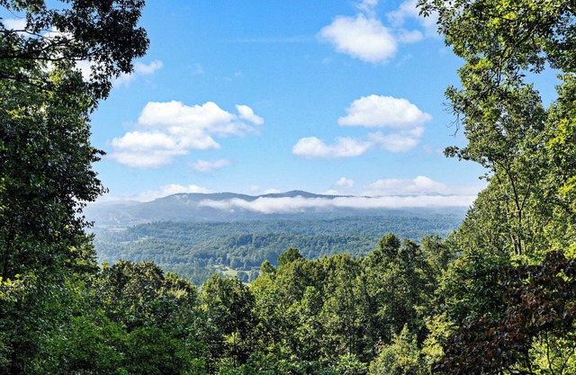 Time Out Summary: Esc