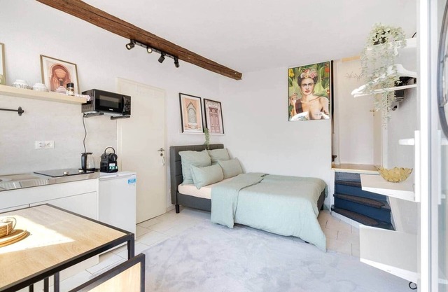 Small apartment with large terrace overlooking the Rhine