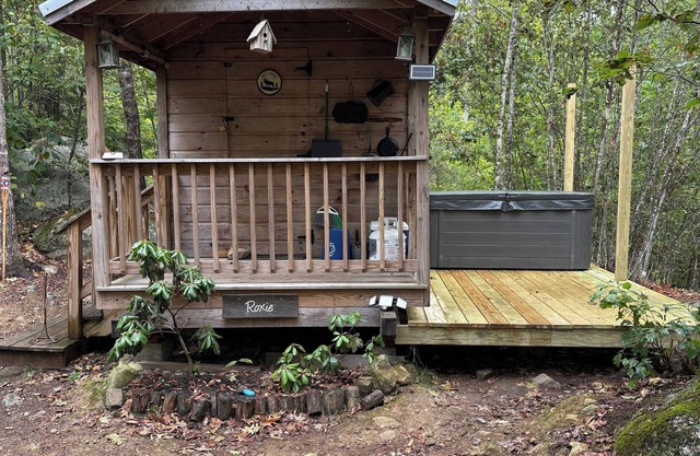 Tiny Cabin on 100 Acres Kayaks/Canoes/Paddleboards