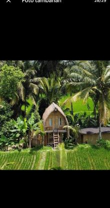 tiny ECO bamboo house