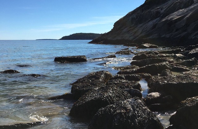 Anna's Hideaway Cabin en el corazón de Acadia