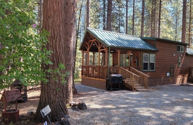 Tiny House at Living Springs Resort Mt. Lassen