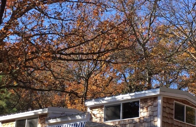 Pequeña experiencia de casa en el lago Cedar Creek con vista al lago. 26mi a Canton!