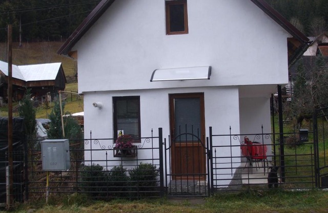 Tiny house Floare de colt