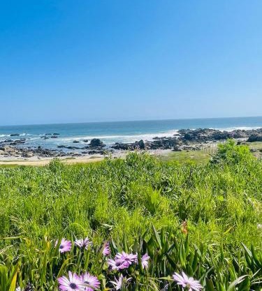 tiny house frente al mar