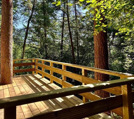 TINY HOUSE - La cabane de Tom
