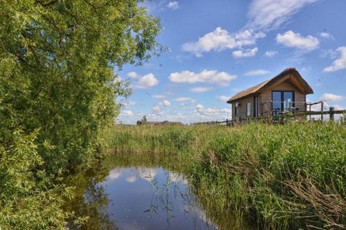 Tiny in de polders