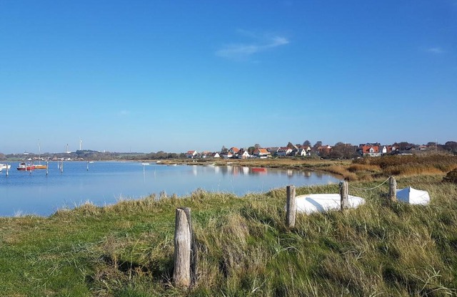 Tinyhouse Thorøhuse