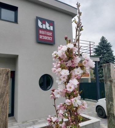 Titi Boutique Apartmanok