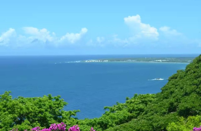 Tobago Oasis