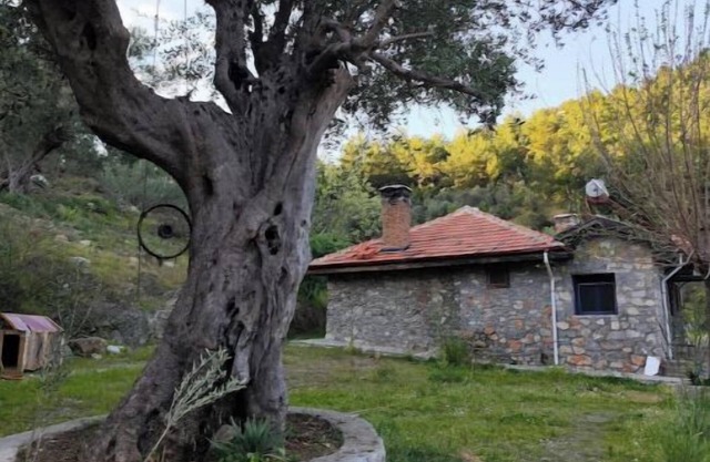 Togo iztuzu Stonehouse-3